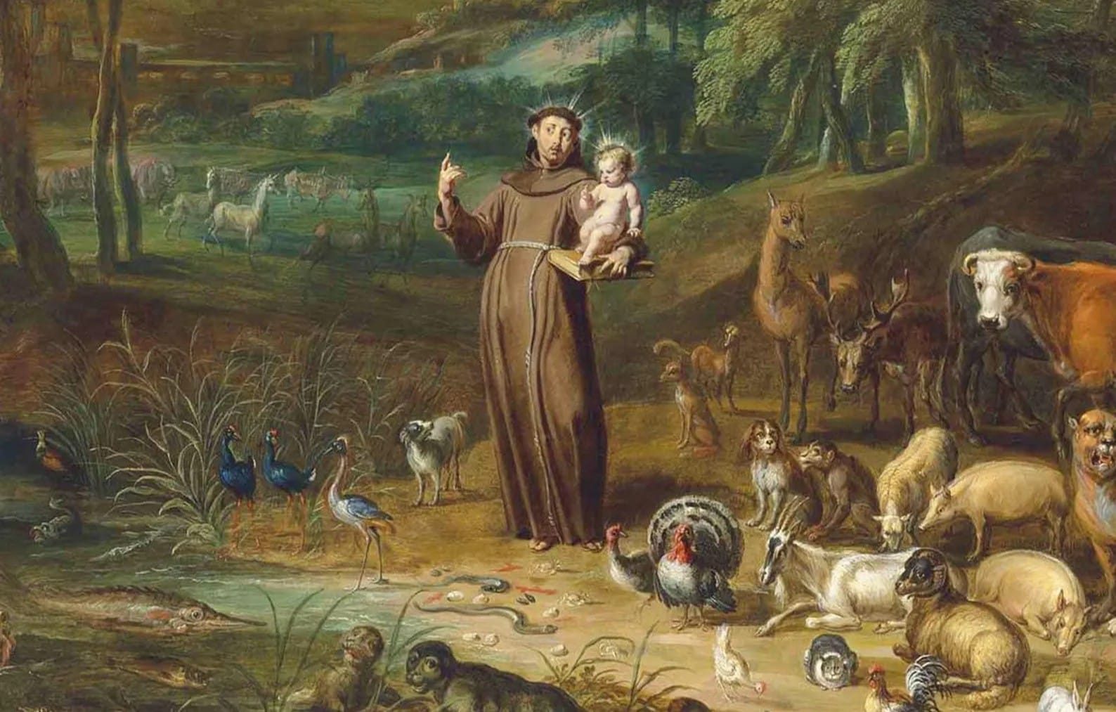 St Francis of Assisi: Life, Legacy, and Relics